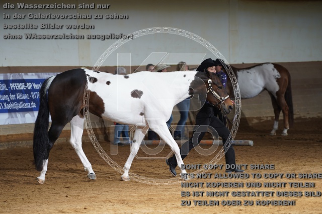 s_A_900385.JPG